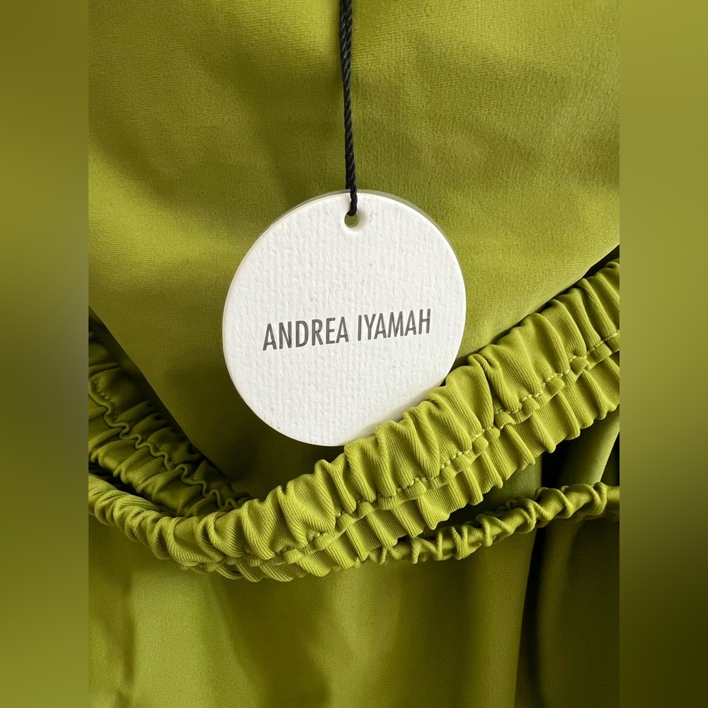 ANDREA IYAMAH SWIMSUIT - Picture 16 of 16